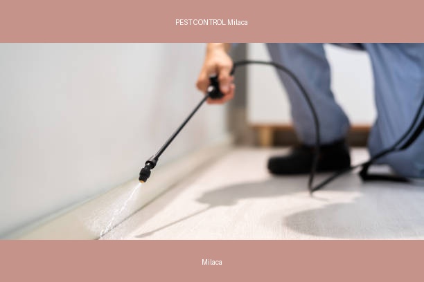 PEST CONTROL Milaca